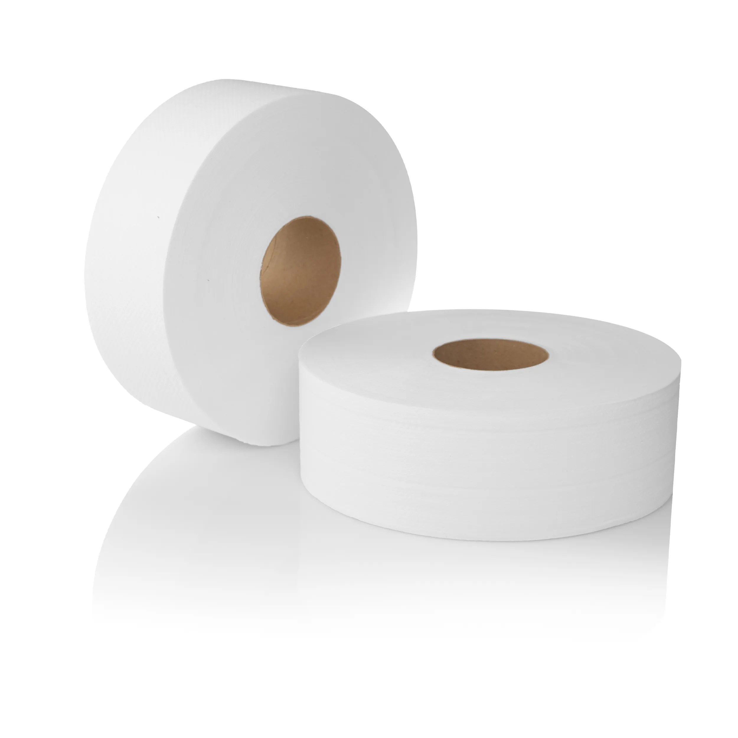 PAPEL HIGIÉNICO 12 ROLLOS 300 mts. 9 cms de ancho